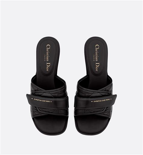 dior evolution slide black